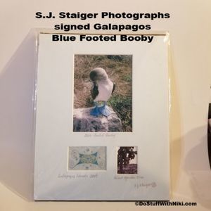 S.J. Staiger signed Blue footed Booby bird photo Galapagos